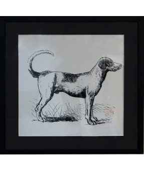 QUADRO DF-01.0.019