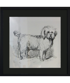 QUADRO DF-01.0.020