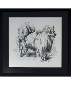 QUADRO DF-01.0.021