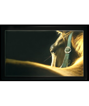 QUADRO DF-01.0.023