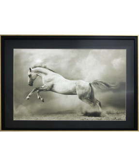 QUADRO DF-01.0.028