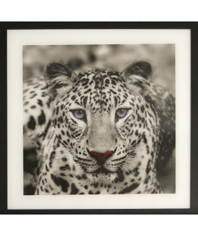 QUADRO DF-01.0.030