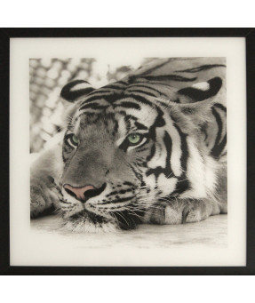 QUADRO DF-01.0.031