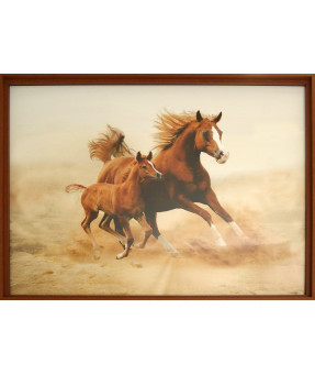 QUADRO DF-01.0.032