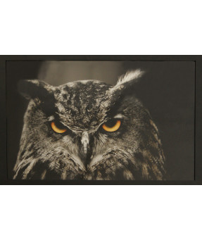 QUADRO DF-01.0.040