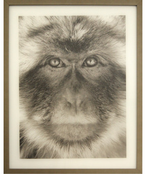 QUADRO DF-01.0.041