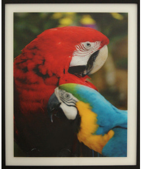 QUADRO DF-01.0.042