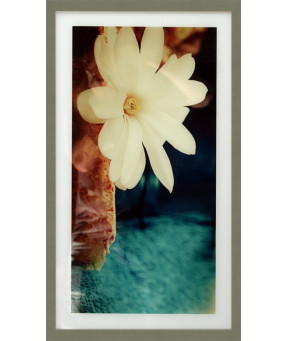 QUADRO DF-08.3.010