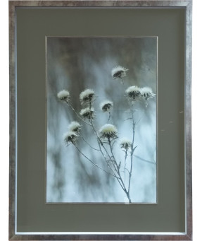 QUADRO DF-05.0.047