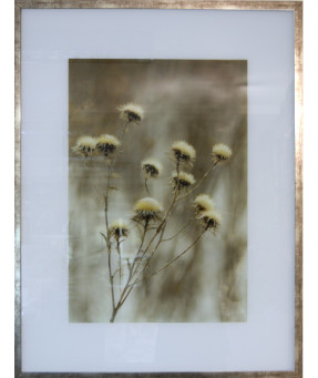QUADRO DF-05.0.048