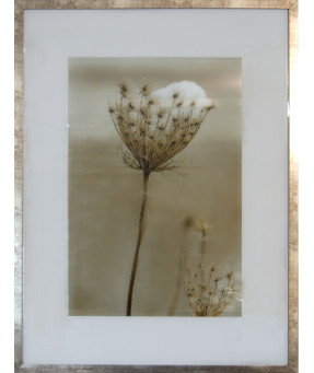 QUADRO DF-05.0.049