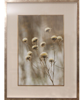 QUADRO DF-05.0.050