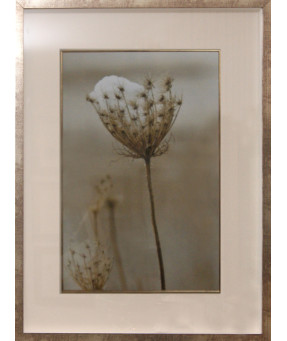 QUADRO DF-05.0.051