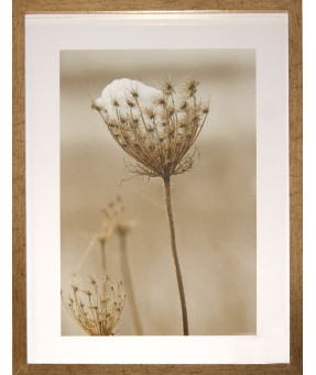 QUADRO DF-05.0.052