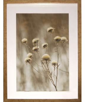 QUADRO DF-05.0.053