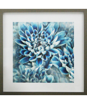 QUADRO DF-05.0.059