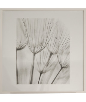 QUADRO DF-05.0.069