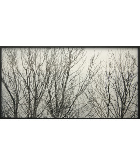 QUADRO DF-02.3.047
