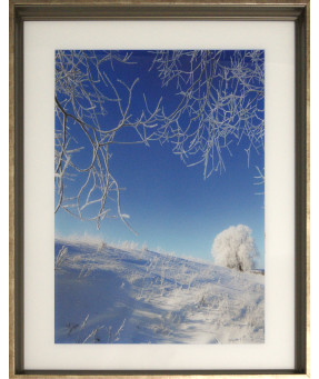 QUADRO DF-02.3.059
