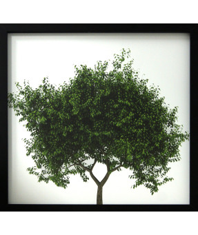 QUADRO DF-02.3.049