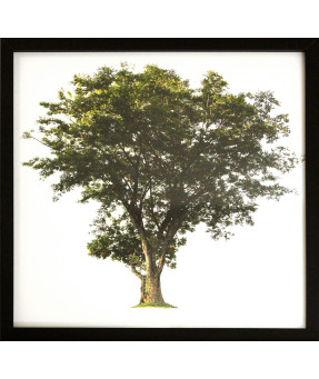 QUADRO DF-02.3.051
