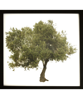 QUADRO DF-02.3.052