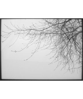QUADRO DF-02.3.064