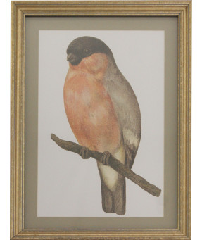 QUADRO DF-01.0.047