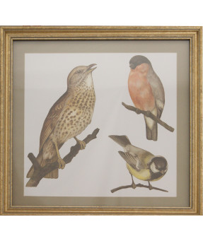 QUADRO DF-01.0.049