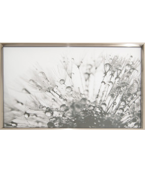 QUADRO DF-05.0.079