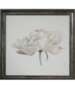 QUADRO DF-05.0.082