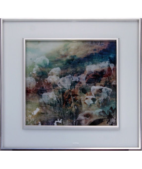QUADRO DF-05.0.085