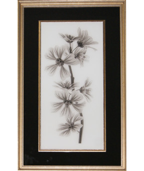 QUADRO DF-05.0.087