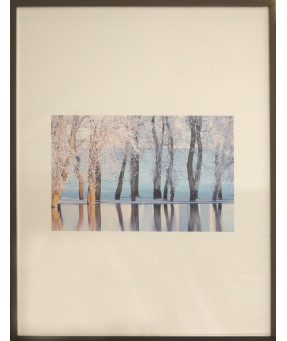 Quadro DF-02.3.071