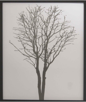 QUADRO DF-02.3.075