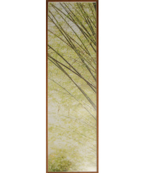 QUADRO DF-05.0.096
