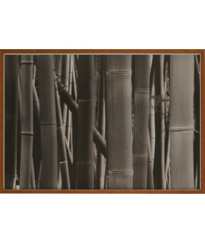 QUADRO DF-05.0.098