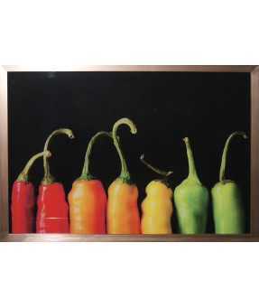 QUADRO DF-04.0.069