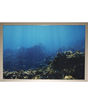 QUADRO DF-09.3.044