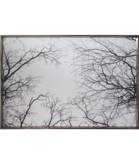 QUADRO DF-05.0.119