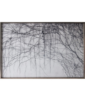 QUADRO DF-05.0.120