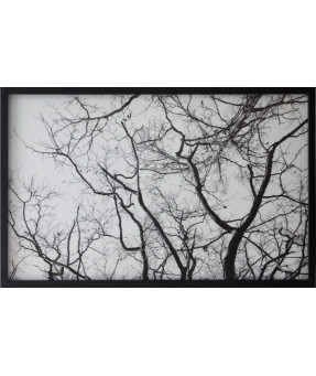 QUADRO DF-05.0.121