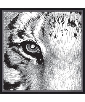 QUADRO DF-01.0.015